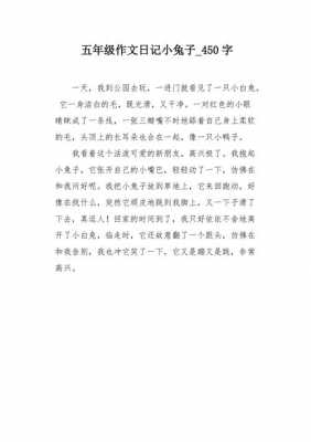 小兔成长的过程作文（小兔成长记）-图3