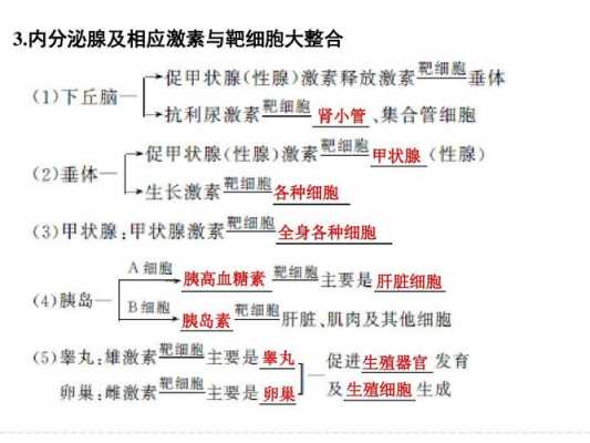 激素调节过程快速（激素调节的过程视频讲解）-图1