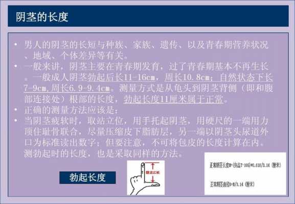 青春期阴茎发育过程的简单介绍-图3