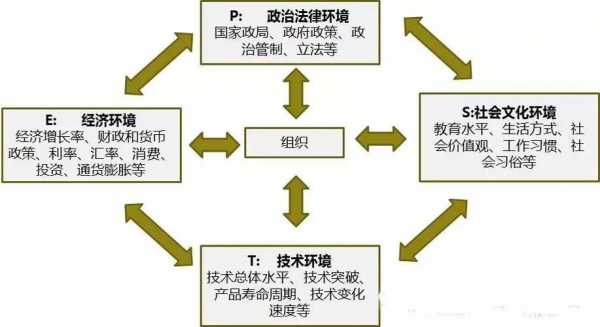 公众对组织过程分为（公众在组织环境中起什么作用,对组织产生哪些影响）-图3