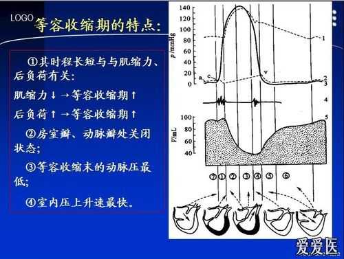 等容期过程（等容收缩期是指从什么到什么时期）-图3