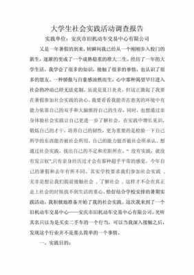 活动过程及成果（活动过程及成果简述）-图1