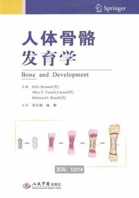 骨头怎么生长过程（骨头生长需要什么条件）-图1