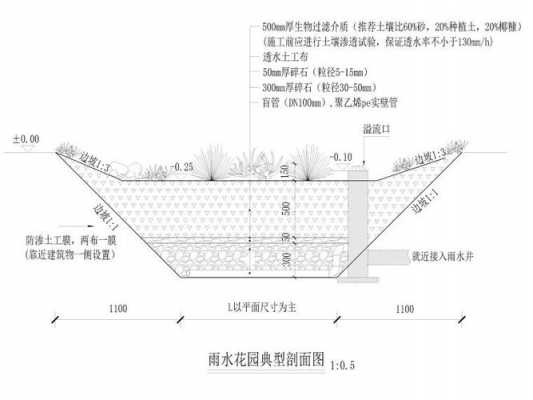 雨水花园施工过程（雨水花园施工过程图）-图1