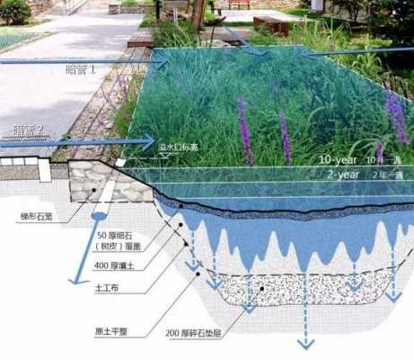 雨水花园施工过程（雨水花园施工过程图）-图2