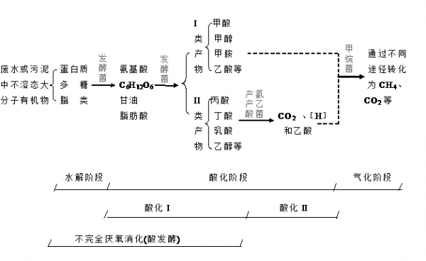 水解酸化过程（水解酸化过程的影响因素有哪些）-图1