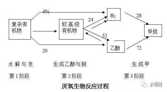 水解酸化过程（水解酸化过程的影响因素有哪些）-图3