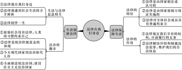 法律的实现过程（法律的实现过程包括什么）-图2