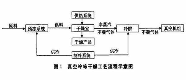 冷冻干燥过程（冷冻干燥过程分为哪三个阶段?）-图1