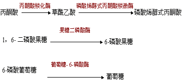 乳酸糖异生的详细过程（乳酸可以作为糖异生的原料吗）-图3