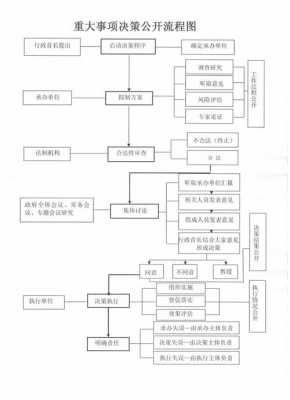 国家重大决策的过程（国家重大事项决策过程）-图1