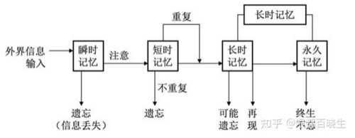 与记忆加工过程（记忆加工过程的三个基本步骤）-图2