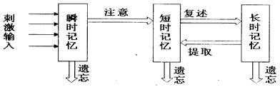 与记忆加工过程（记忆加工过程的三个基本步骤）-图3