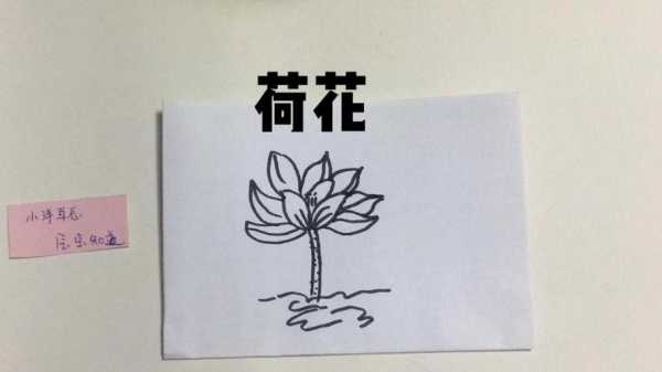 莲花的生长过程简笔画（自然笔记莲花hua 的生长过程）-图1