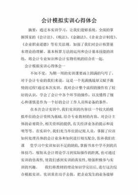 总账会计实验过程（总账会计实训报告总结）-图3