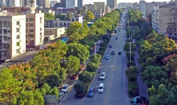 娄底建市过程（娄底市建市40周年）-图1