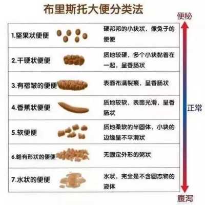 大便排出过程（大便排出过程中出来很重）-图2