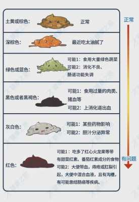 大便排出过程（大便排出过程中出来很重）-图3