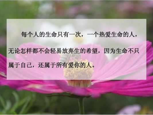 生命累加的过程（生命疲惫）-图2