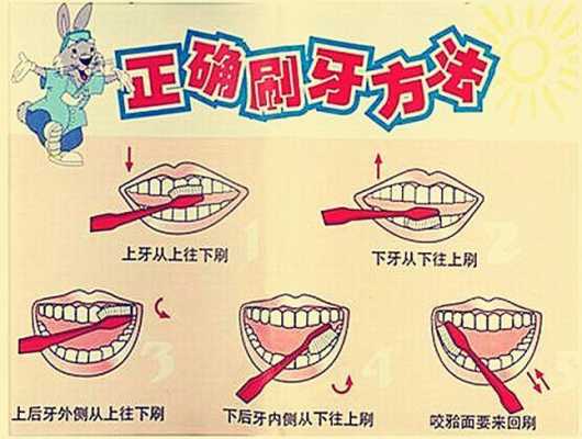 幼儿刷牙的过程（幼儿刷牙的动作要领和注意事项）-图2