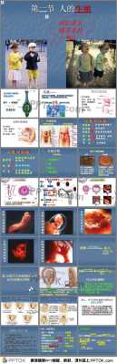 人在生殖过程（人在生殖过程中的变化）-图1