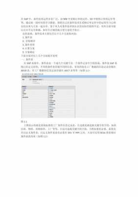 sap定价过程的解释（sap定价过程的解释和理解）-图2