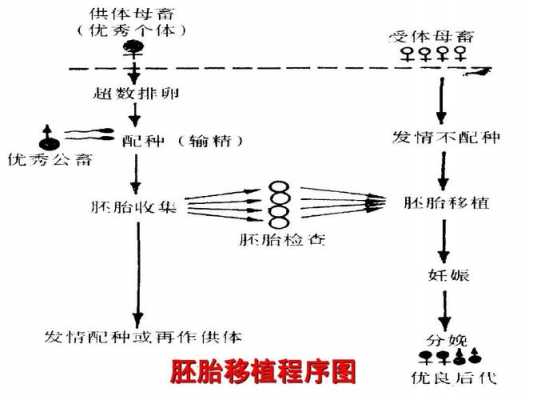 选修胚胎移植过程图解（选修胚胎移植过程图解大全）-图1