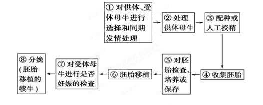 选修胚胎移植过程图解（选修胚胎移植过程图解大全）-图2