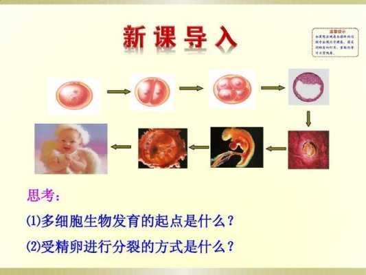 描述受精的过程生物（描述受精的过程生物有哪些）-图2