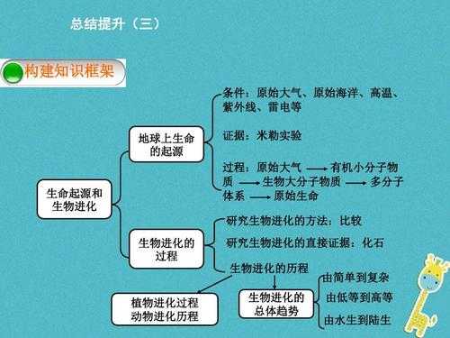 总结生命发展过程（总结生命发展过程的句子）-图2