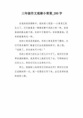 小青菜成长的过程（小青菜的成长过程的样子的作文）-图3