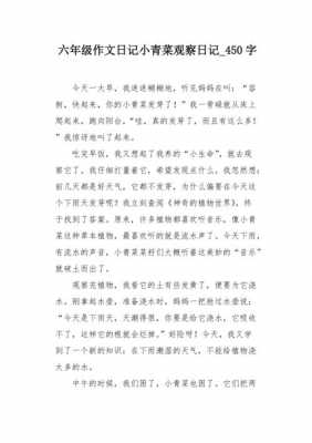 小青菜成长的过程（小青菜的成长过程的样子的作文）-图2