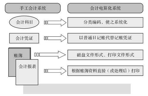 电算化会计过程（电算化会计过程包括哪些）-图3