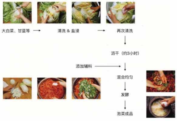 泡菜制造过程（泡菜制造过程视频教程）-图3