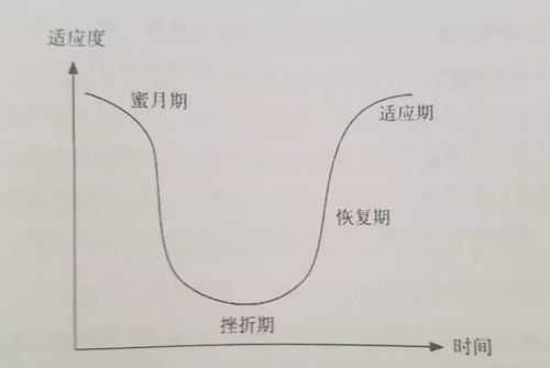 ward文化适应过程（文化适应的模式）-图3