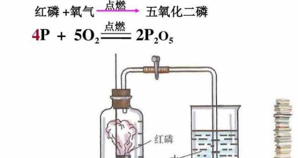 红磷燃烧变化过程（化学中红磷燃烧的现象）-图3