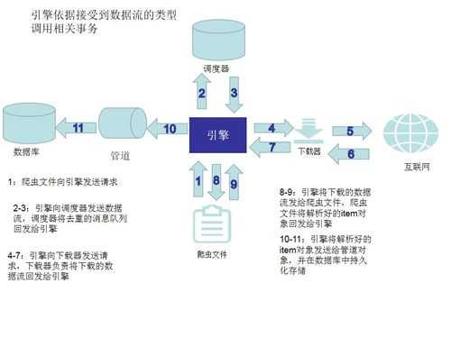 信息接受过程包括()（信息接受的重要机制是什么）-图1