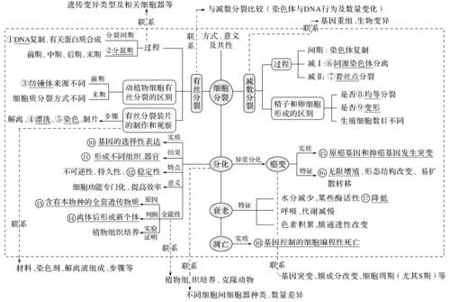 过程二表示生物细胞（生物过程是什么变化）-图1