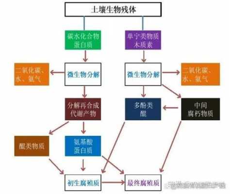 腐殖酸活化过程图（腐殖酸活化过程图片大全）-图1