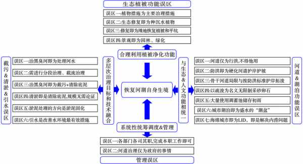 生态恢复的过程应该（生态恢复的过程应该怎么写）-图1