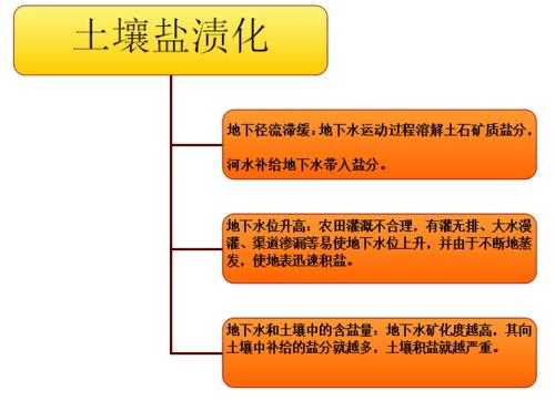 土壤盐渍化过程（土壤盐渍化成因及措施）-图3