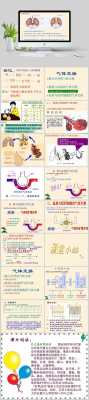 交换的过程（肺部气体交换的过程）-图3