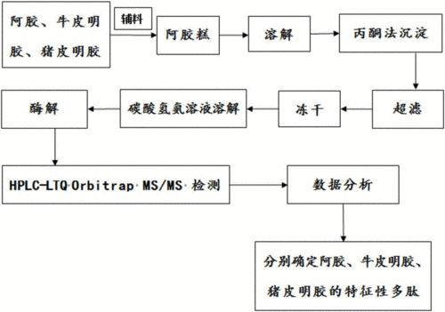 阿胶制备过程（阿胶的制作工艺流程图）-图1