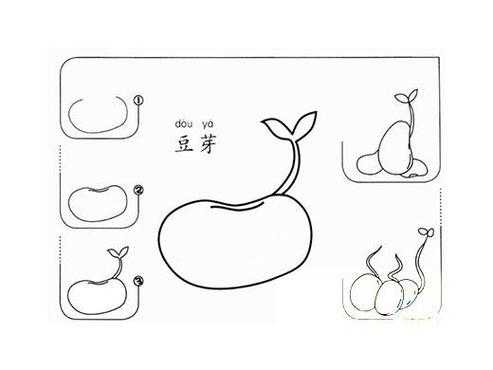 小豆发芽的过程图片（小豆发芽的过程图片简笔画）-图1