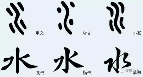 水字体演变过程（水字体的演变）-图1