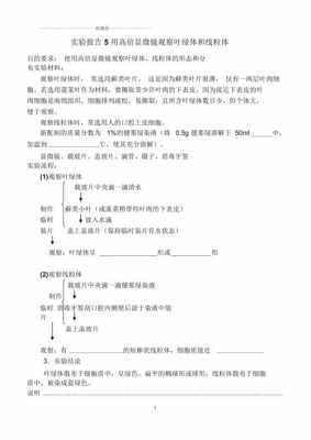 关于线粒体的实验过程（关于线粒体的实验过程怎么写）-图2