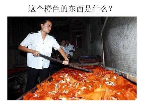 垃圾加工过程PPT（垃圾食品加工过程）-图3