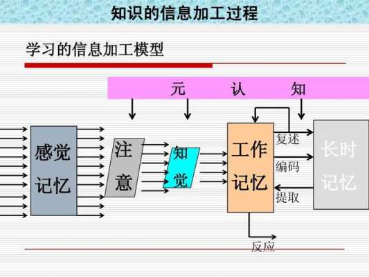 记住信息加工过程（信息加工的过程）-图1