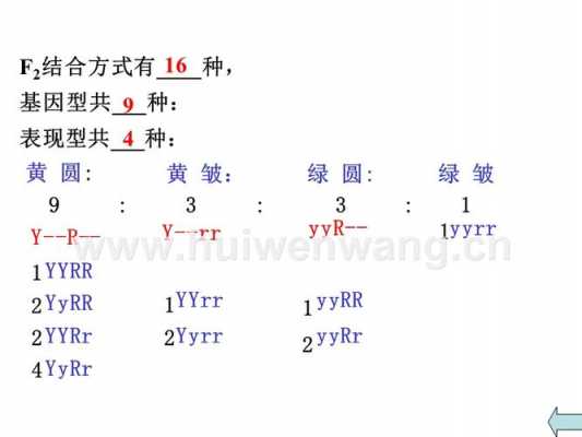 包含cb过程的词条-图2