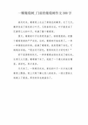 葡萄生长过程作文（葡萄生长过程作文300字）-图3